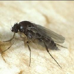 1609920168808696.jpg 5c71556869ba4.jpg