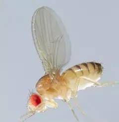 1609920178400367.jpg 5c7155685facc.jpg