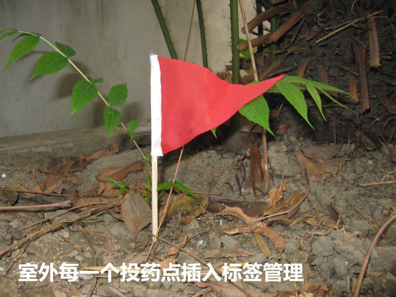 1609922390392234.jpg 5c714eddc91f4.jpg