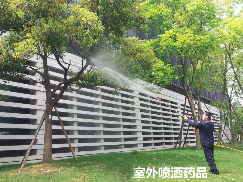 1609922472711745.jpg 5c714eddbabd6.jpg